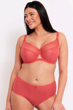 Трусики шорти Curvy Kate Victory 9003