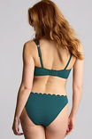Купальные плавки Panache Lauren SW1786